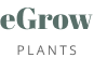 logo regular